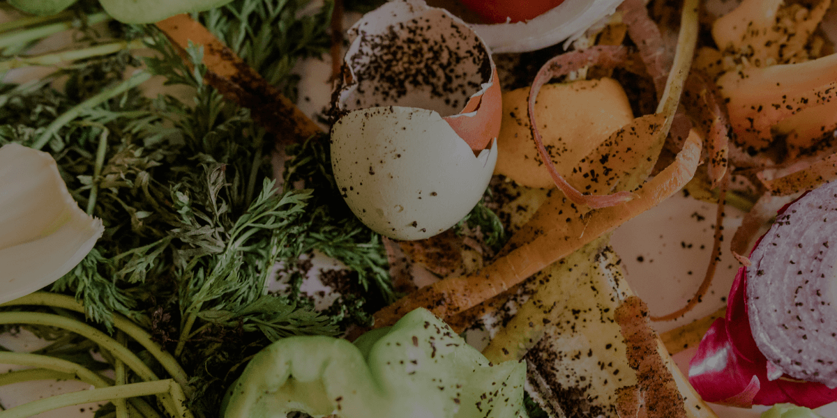 Food scraps, including egg shells and trimmings of carrots and cucumbers.
